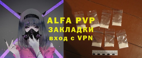 шишки Иннополис