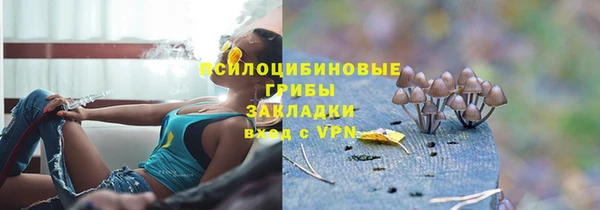 молекула духа Инта