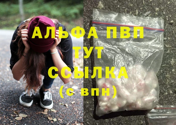 шишки Иннополис