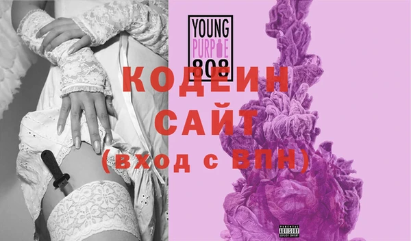 шишки Иннополис