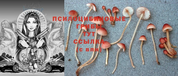 метадон Инсар